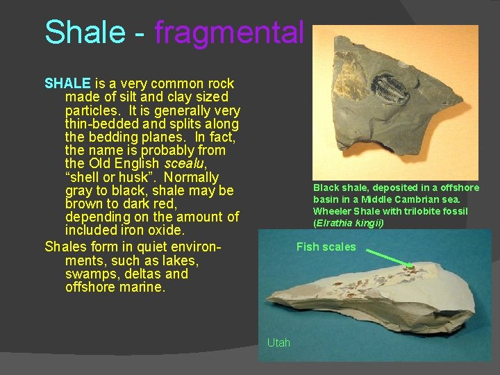 Shale - fragmental SHALE is a very common rock made of silt and clay