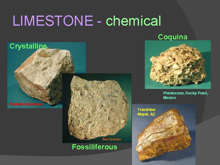 LIMESTONE - chemical Coquina Crystalline Pleistocene, Rocky Point, Mexico Redwall Limestone Travertine Mayer, AZ
