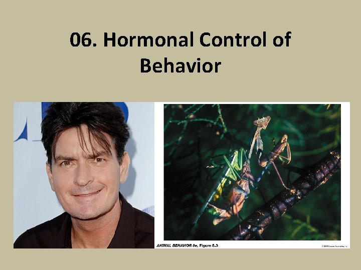 06. Hormonal Control of Behavior 
