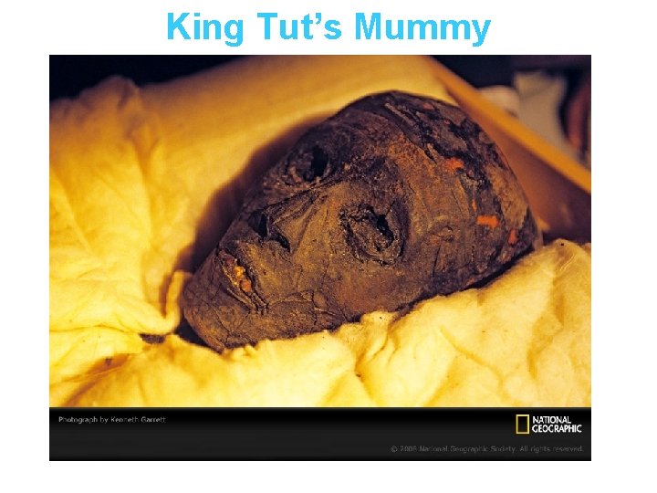 King Tut’s Mummy 44 