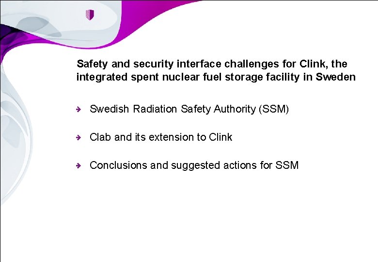 Safety and security interface challenges for Clink, the integrated spent nuclear fuel storage facility