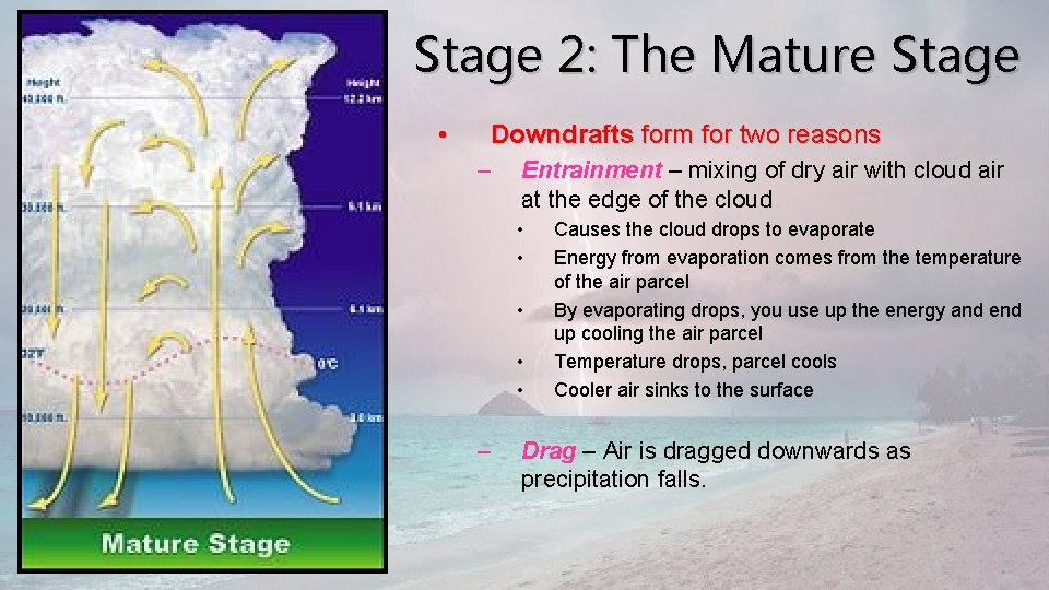 Stage 2: The Mature Stage • Downdrafts form for two reasons – Entrainment –