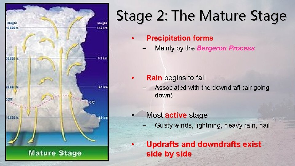 Stage 2: The Mature Stage • Precipitation forms – • Rain begins to fall