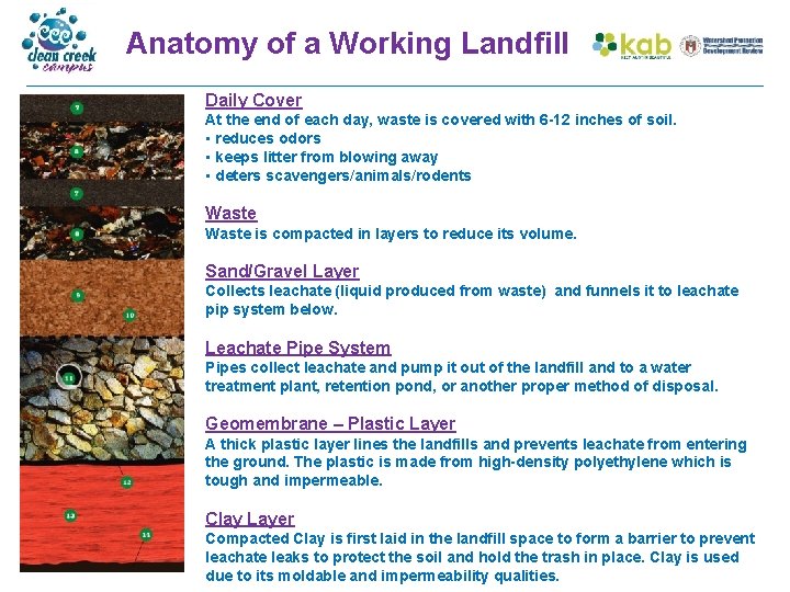 Anatomy of a Working Landfill Daily Cover At the end of each day, waste