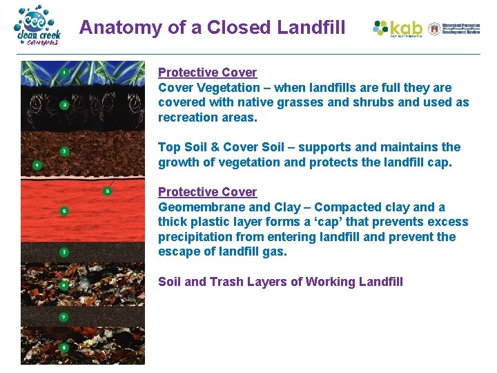 Anatomy of a Closed Landfill Protective Cover Vegetation – when landfills are full they