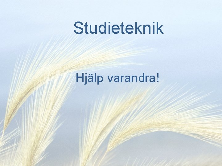 Studieteknik Hjälp varandra! 