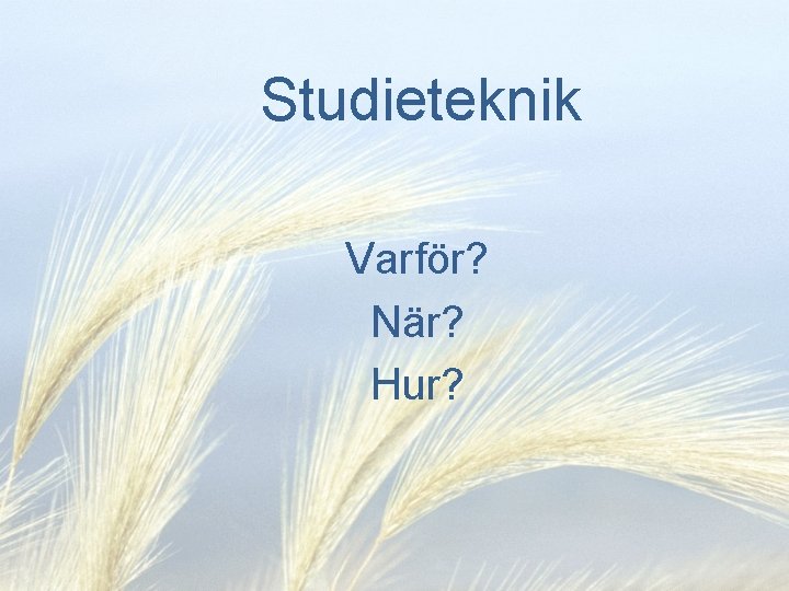 Studieteknik Varför? När? Hur? 