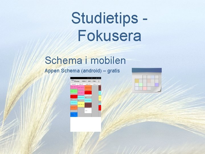 Studietips Fokusera Schema i mobilen Appen Schema (android) – gratis 