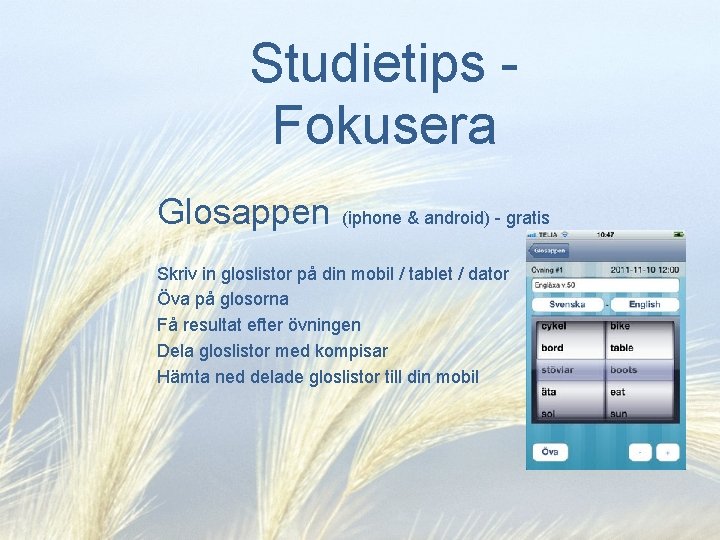 Studietips Fokusera Glosappen (iphone & android) - gratis Skriv in gloslistor på din mobil