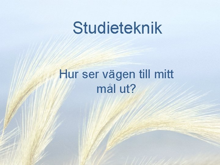 Studieteknik Hur ser vägen till mitt mål ut? 