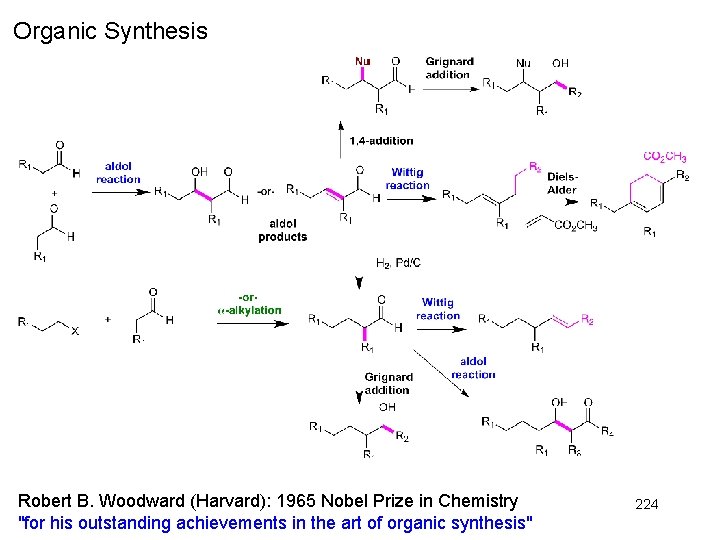 Organic Synthesis Robert B. Woodward (Harvard): 1965 Nobel Prize in Chemistry "for his outstanding Organic Synthesis Robert B. Woodward (Harvard): 1965 Nobel Prize in Chemistry "for his outstanding