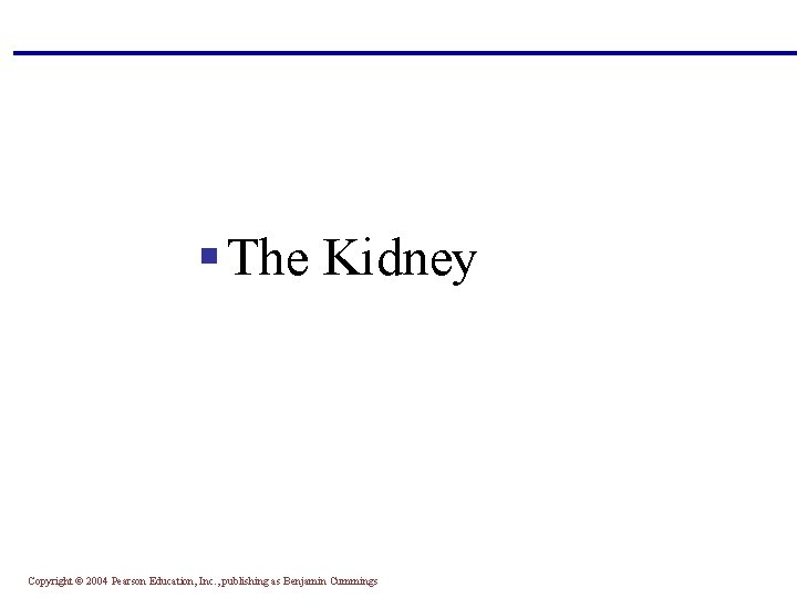 § The Kidney Copyright © 2004 Pearson Education, Inc. , publishing as Benjamin Cummings