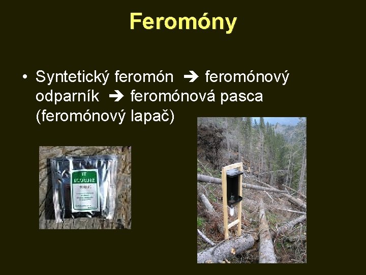 Feromóny • Syntetický feromónový odparník feromónová pasca (feromónový lapač) 