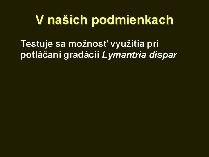 V našich podmienkach Testuje sa možnosť využitia pri potláčaní gradácií Lymantria dispar 