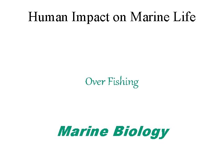 Human Impact on Marine Life Over Fishing Marine Biology 