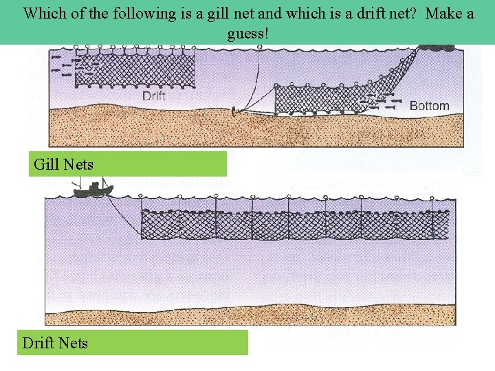 Which of the following is a gill net and which is a drift net?