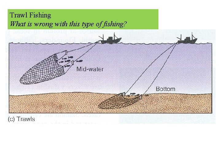 Trawl Fishing What is wrong with this type of fishing? 
