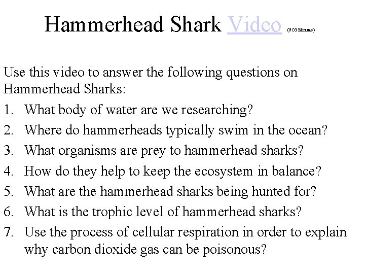 Hammerhead Shark Video (6. 03 Minutes) Use this video to answer the following questions