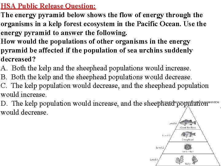 HSA Public Release Question: The energy pyramid below shows the flow of energy through