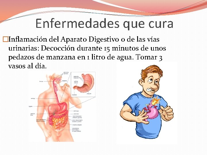 Enfermedades que cura �Inflamación del Aparato Digestivo o de las vías urinarias: Decocción durante Enfermedades que cura �Inflamación del Aparato Digestivo o de las vías urinarias: Decocción durante