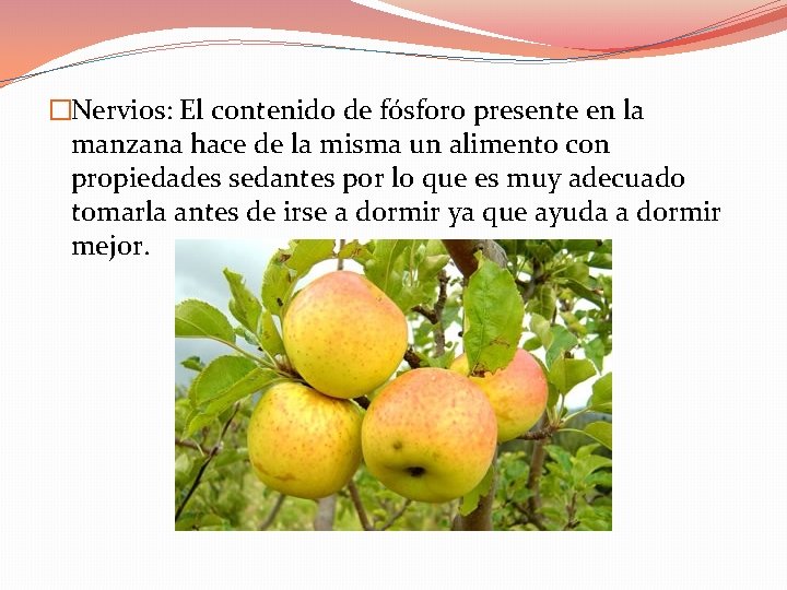 �Nervios: El contenido de fósforo presente en la manzana hace de la misma un �Nervios: El contenido de fósforo presente en la manzana hace de la misma un