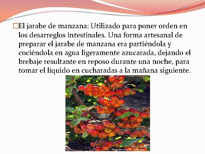 �El jarabe de manzana: Utilizado para poner orden en los desarreglos intestinales. Una forma �El jarabe de manzana: Utilizado para poner orden en los desarreglos intestinales. Una forma