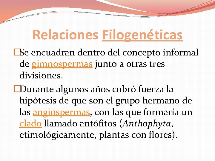 Relaciones Filogenéticas �Se encuadran dentro del concepto informal de gimnospermas junto a otras tres Relaciones Filogenéticas �Se encuadran dentro del concepto informal de gimnospermas junto a otras tres