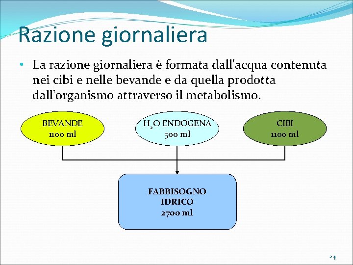 Razione giornaliera • La razione giornaliera è formata dall'acqua contenuta nei cibi e nelle