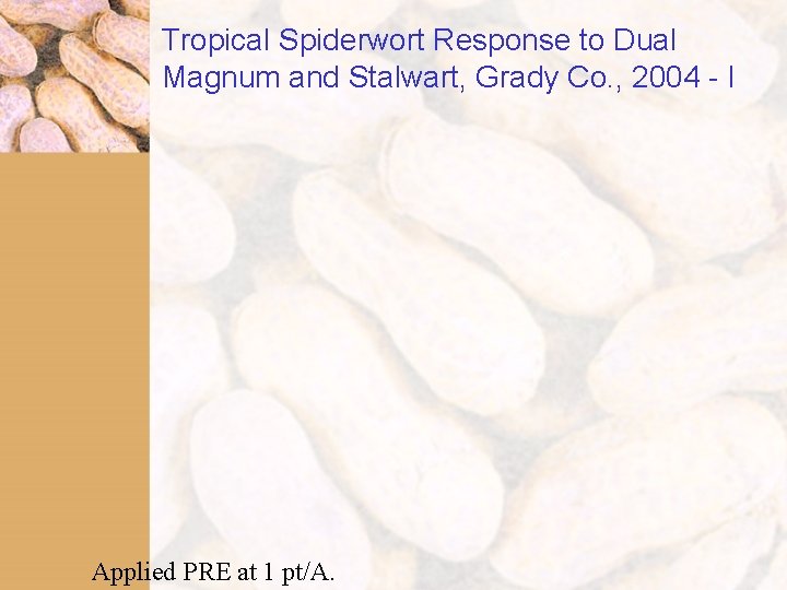 Tropical Spiderwort Response to Dual Magnum and Stalwart, Grady Co. , 2004 - I