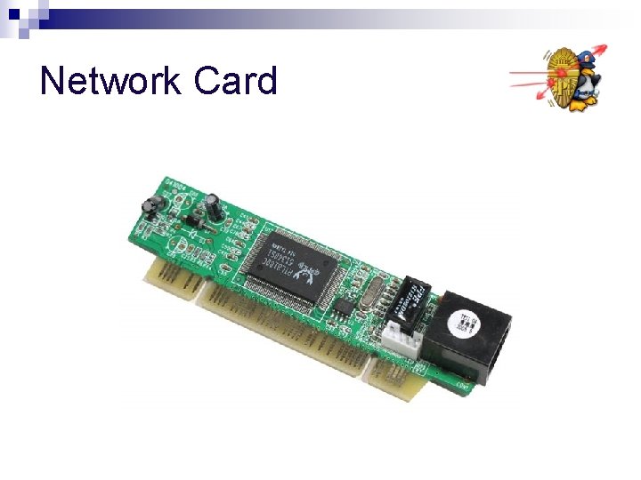 Network Card 