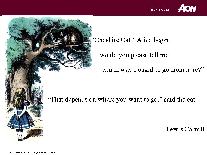 Risk Services “Cheshire Cat, ” Alice began, “would you please tell me which way
