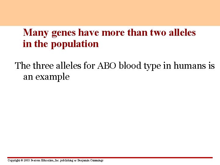 Many genes have more than two alleles in the population The three alleles for