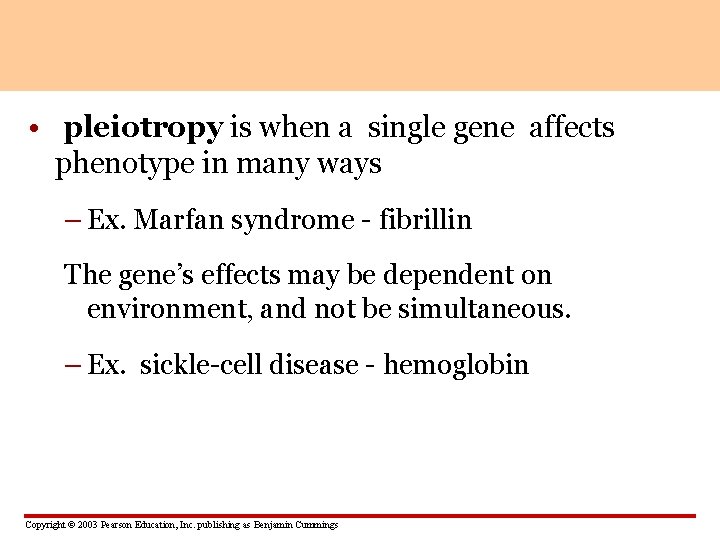  • pleiotropy is when a single gene affects phenotype in many ways –