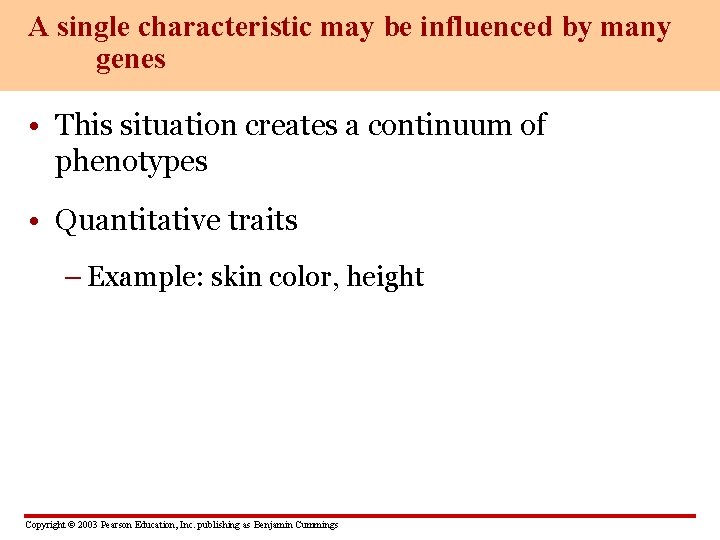 A single characteristic may be influenced by many genes • This situation creates a