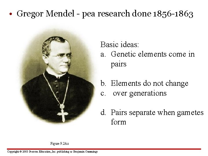  • Gregor Mendel - pea research done 1856 -1863 Basic ideas: a. Genetic
