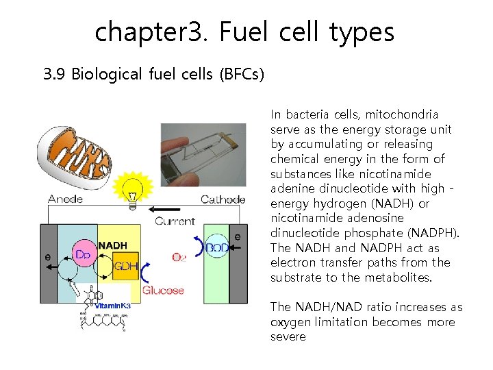 chapter 3. Fuel cell types 3. 9 Biological fuel cells (BFCs) In bacteria cells,