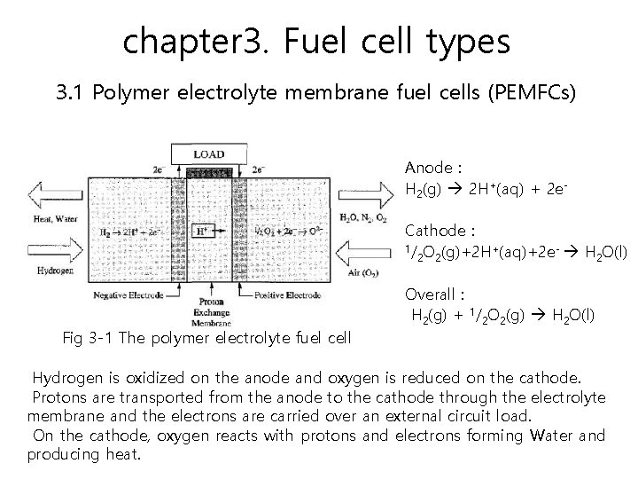 chapter 3. Fuel cell types 3. 1 Polymer electrolyte membrane fuel cells (PEMFCs) Anode