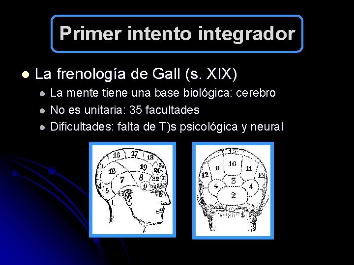 Primer intento integrador l La frenología de Gall (s. XIX) l l l La