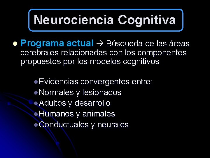 Neurociencia Cognitiva l Programa actual Búsqueda de las áreas cerebrales relacionadas con los componentes