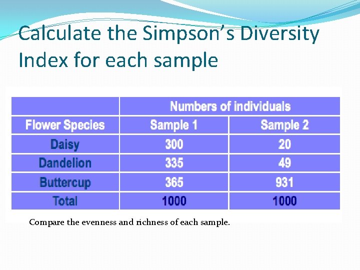 Calculate the Simpson’s Diversity Index for each sample Compare the evenness and richness of