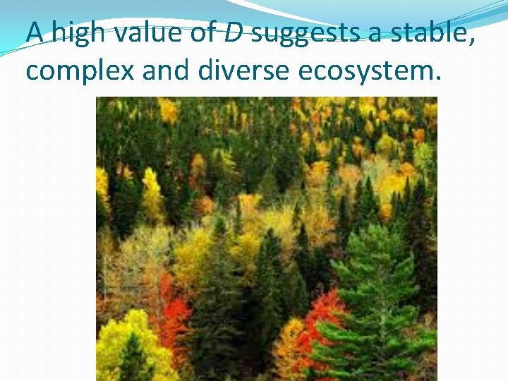 A high value of D suggests a stable, complex and diverse ecosystem. 