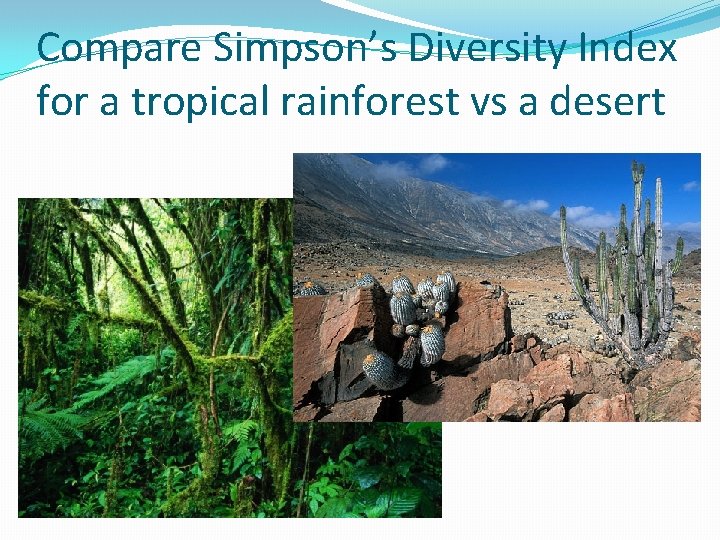 Compare Simpson’s Diversity Index for a tropical rainforest vs a desert 