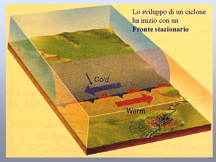 Lo sviluppo di un ciclone ha inizio con un Fronte stazionario 11 