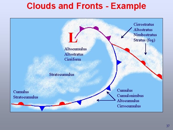 Clouds and Fronts - Example L Cirrostratus Altostratus Nimbostratus Stratus (fog) Altocumulus Altostratus Cirriform