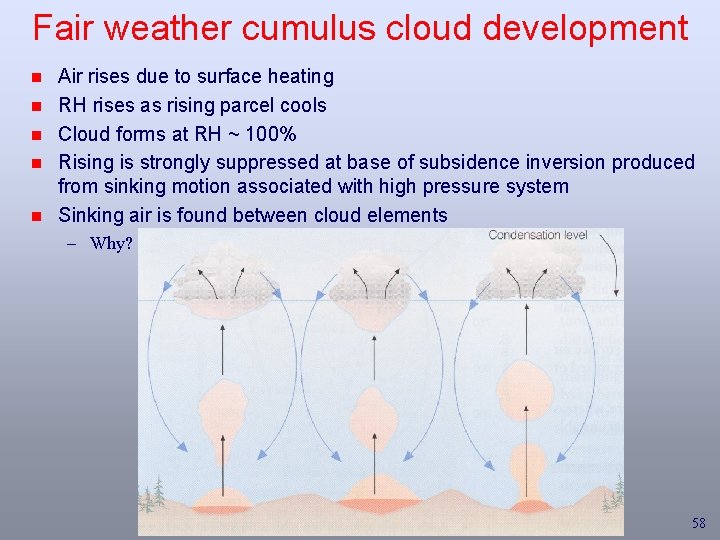 Fair weather cumulus cloud development n n n Air rises due to surface heating