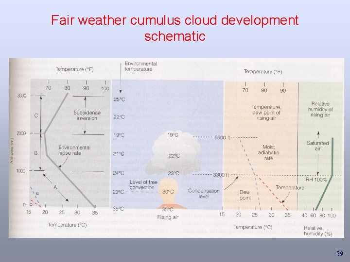 Fair weather cumulus cloud development schematic 59 