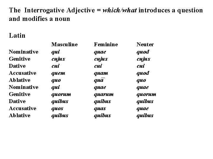 The Interrogative Adjective = which/what introduces a question and modifies a noun Latin Nominative