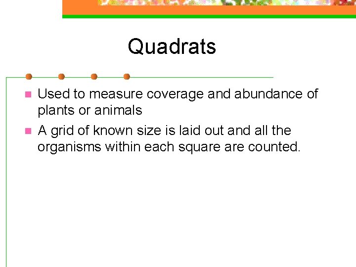 Quadrats n n Used to measure coverage and abundance of plants or animals A