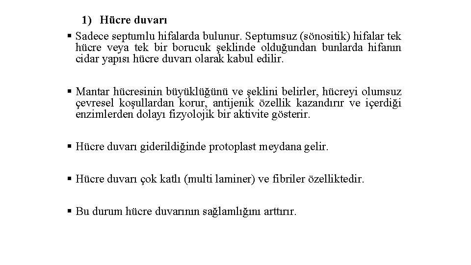 1) Hücre duvarı § Sadece septumlu hifalarda bulunur. Septumsuz (sönositik) hifalar tek hücre veya