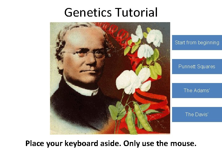 Genetics Tutorial Start from beginning Punnett Squares The Adams’ The Davis’ Place your keyboard
